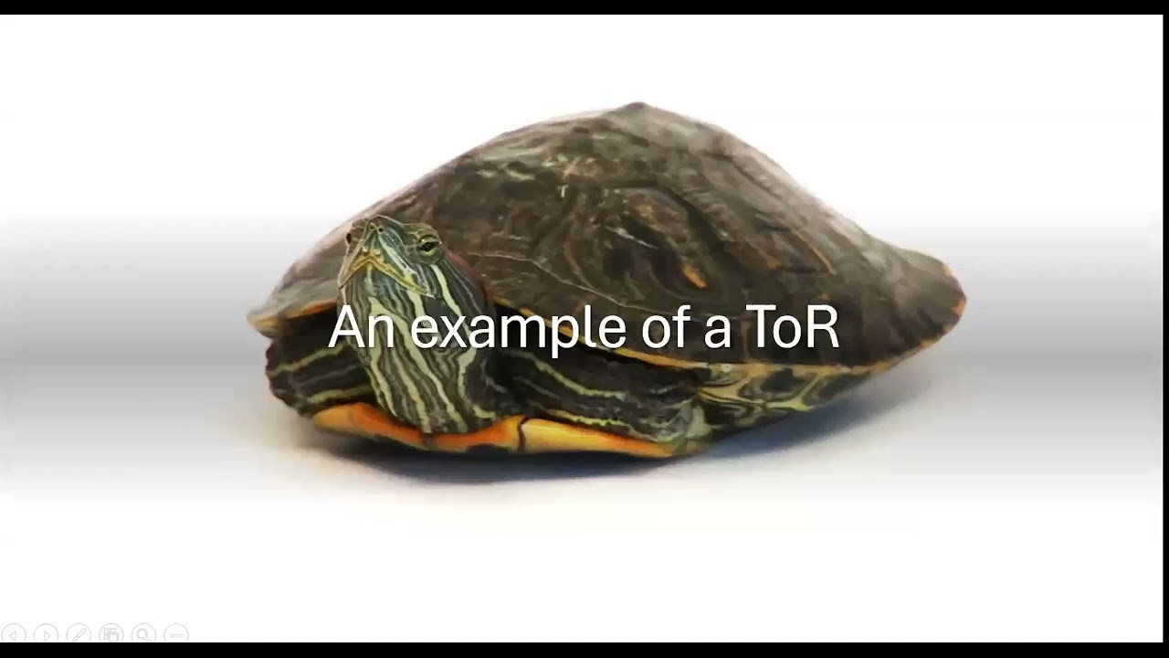 Understanding and Writing Terms of Reference