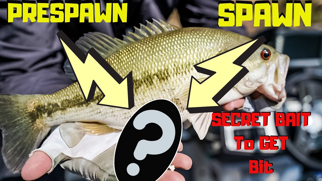 BREAKING PB's - Fishing for BIG BASS (feat. Hank) PRESPAWN/SPAWN (ep1)
