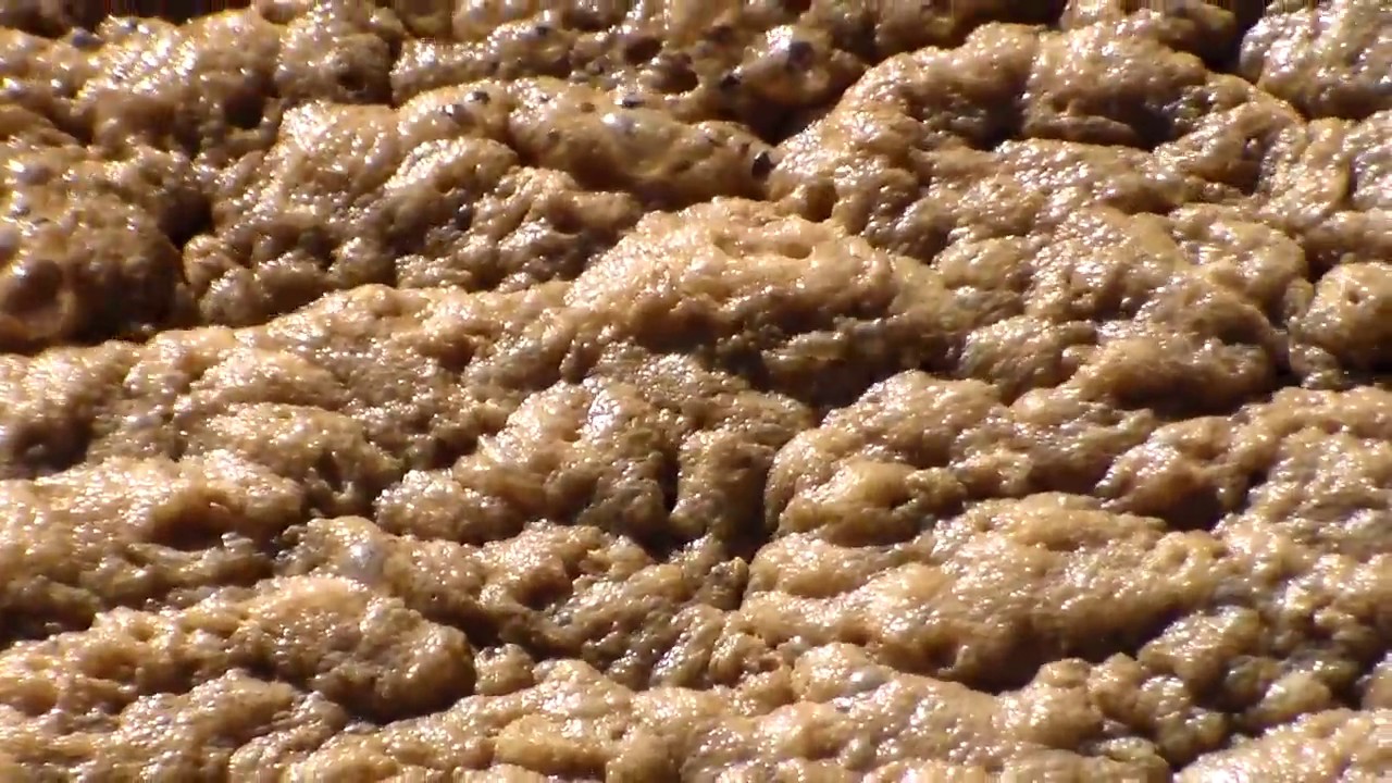 How to: Eliminate Biological Foams in Wastewater Aeration Basin - Read Below
