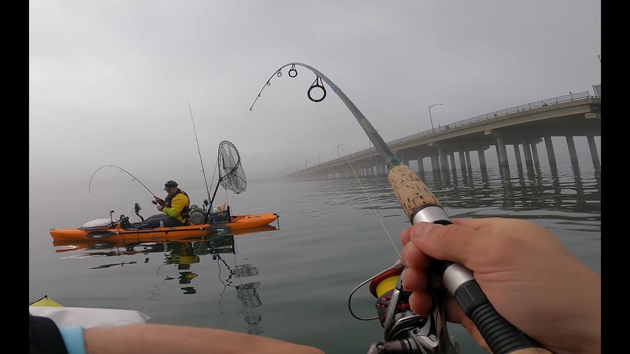 First Fluke (summer flounder) trip of 2022 ft. Fishin Accomplished