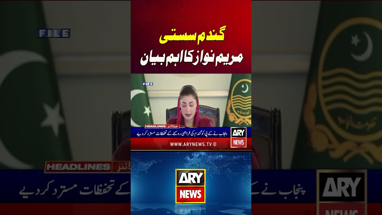 Maryam Nawaz Makes an Important Statement on Wheat Prices #arynews #shorts #ytshorts