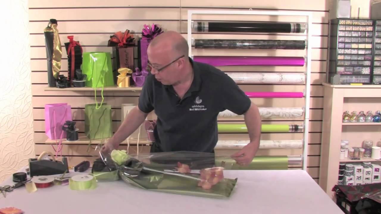 9. Planted Phalaenopsis Orchid