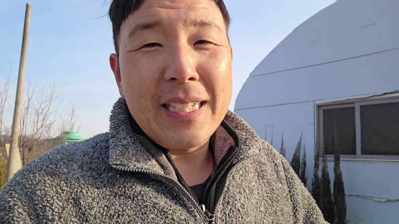 새로 심은 나무가 말라죽을 때 증상
