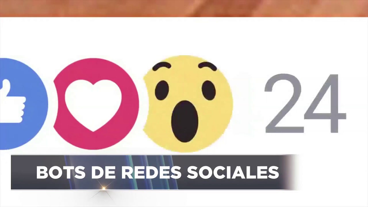 ¿Qué es un Bot?