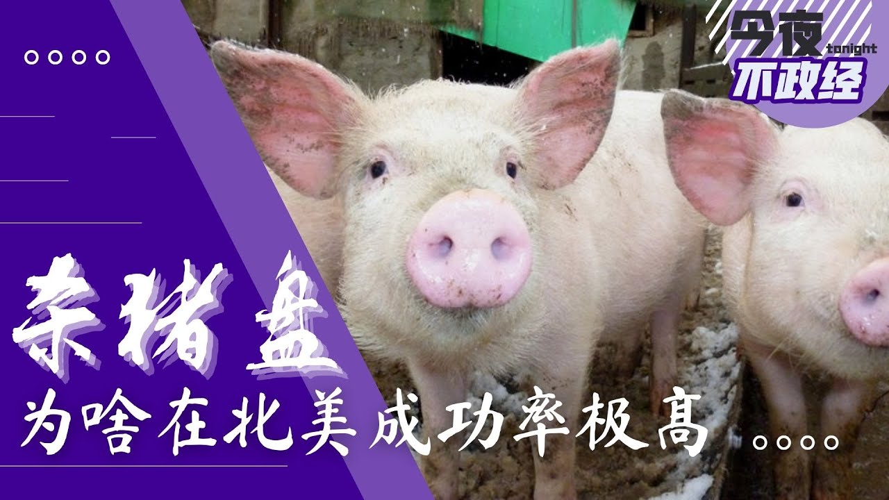 杀猪盘为啥在北美成功率极高｜今夜不政经（金晓春、曹健、艾睿）