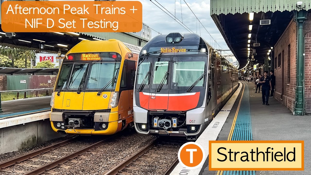 Transport for Sydney Vlog 907: Strathfield Station - Afternoon Peak Trains + NIF D Set Testing