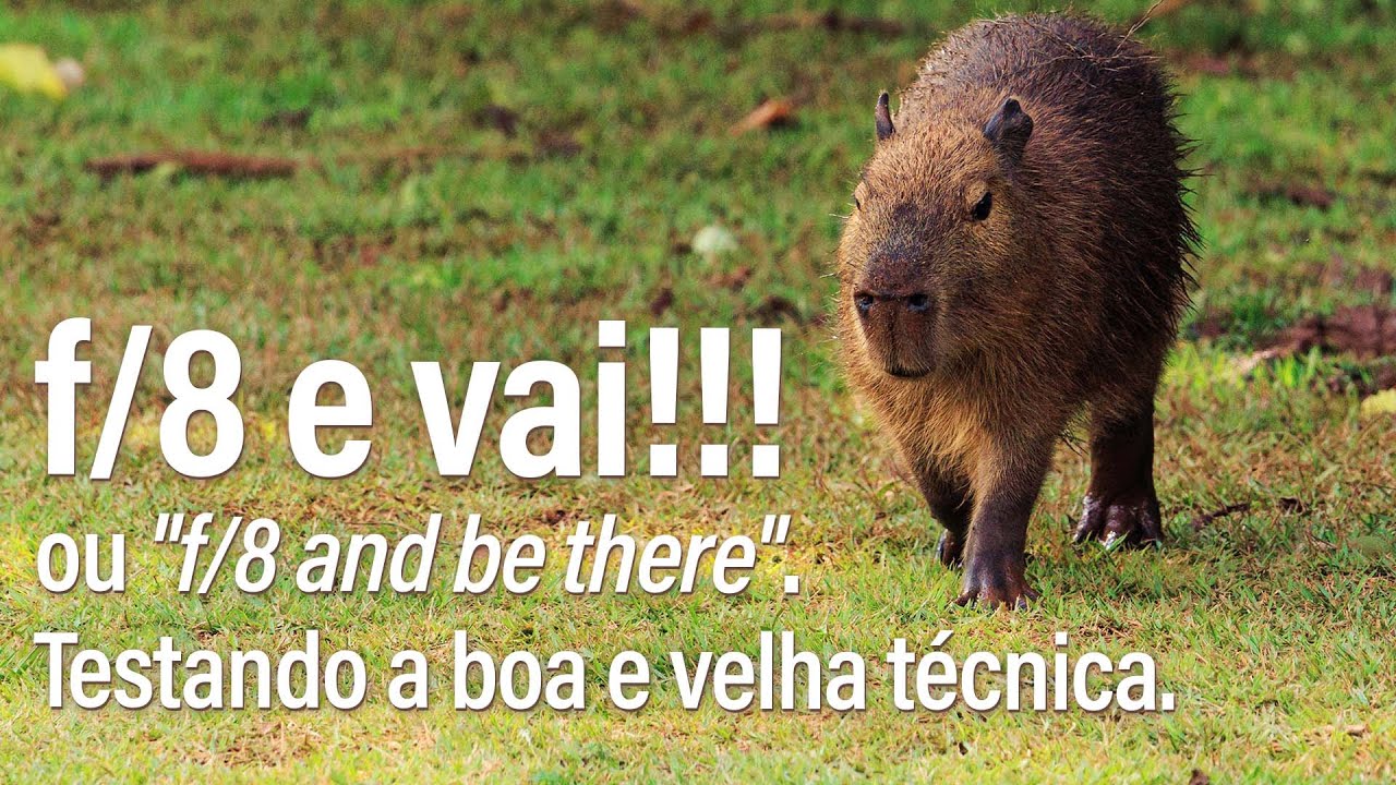 f/8 e vai ! Minha versão para a frase 