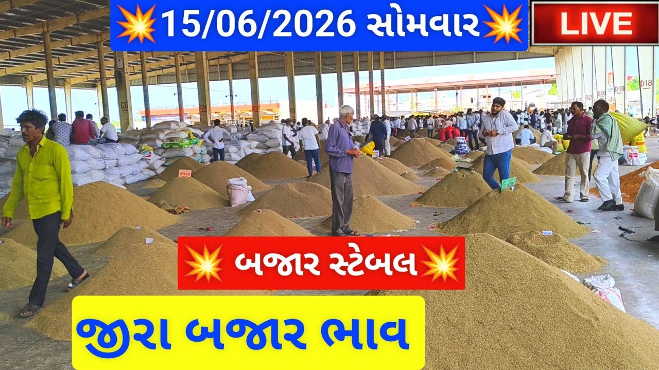 🔴live જીરા ના બજાર ભાવ આજના જસદણ માર્કેટિંગ યાર્ડ, jeera auction price today jasdan,June 15, 2026