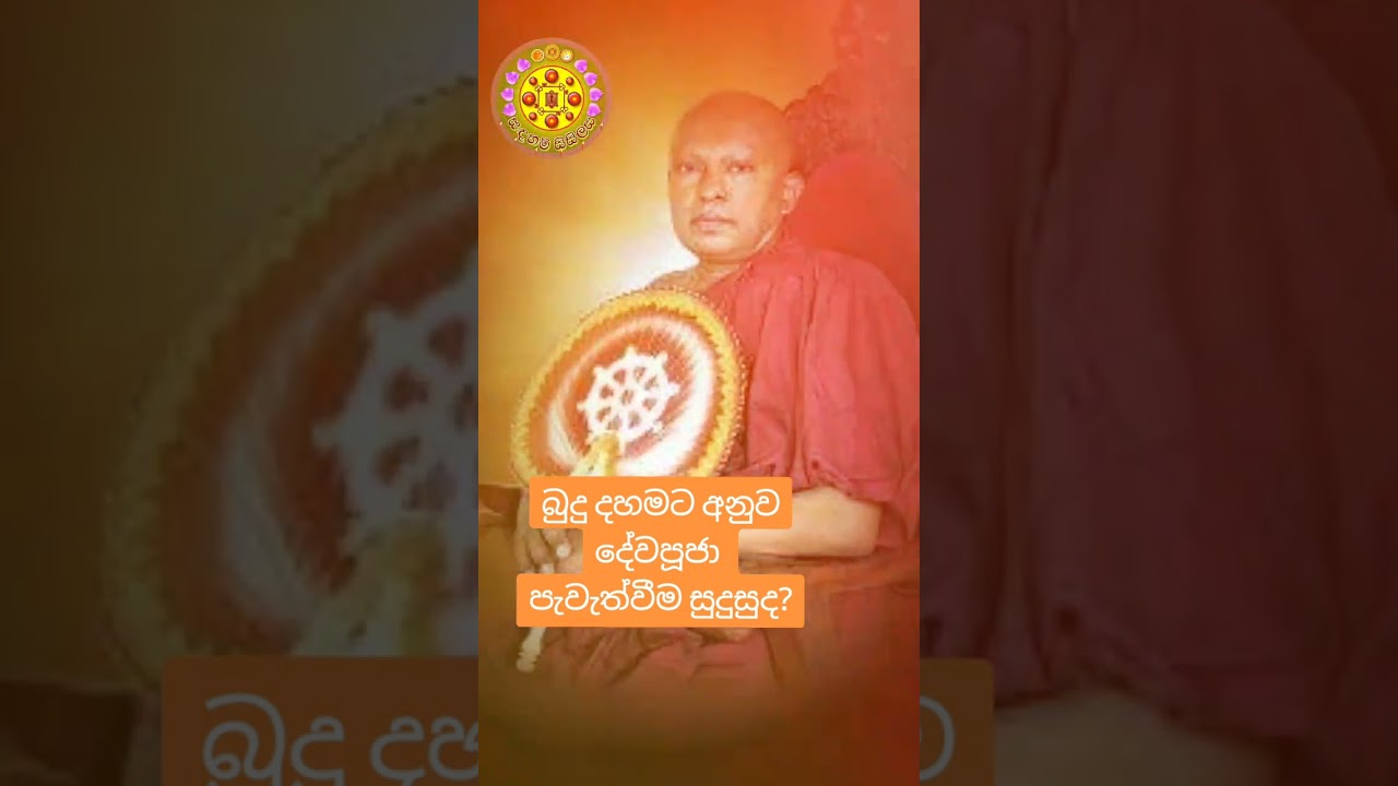 දේව පූජා කැපද?  I dewapooja I #newvideo