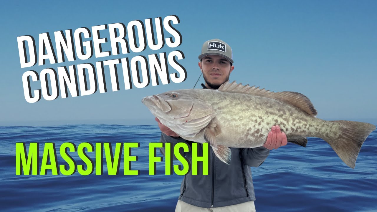 New Grouper PB: Navigating Hazardous Fog in the Gulf of America!