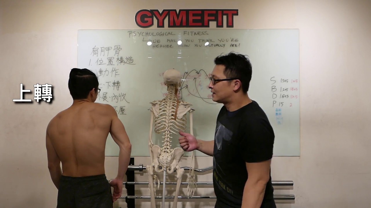 【鍾老師開講】 肩關節 – 肩胛骨