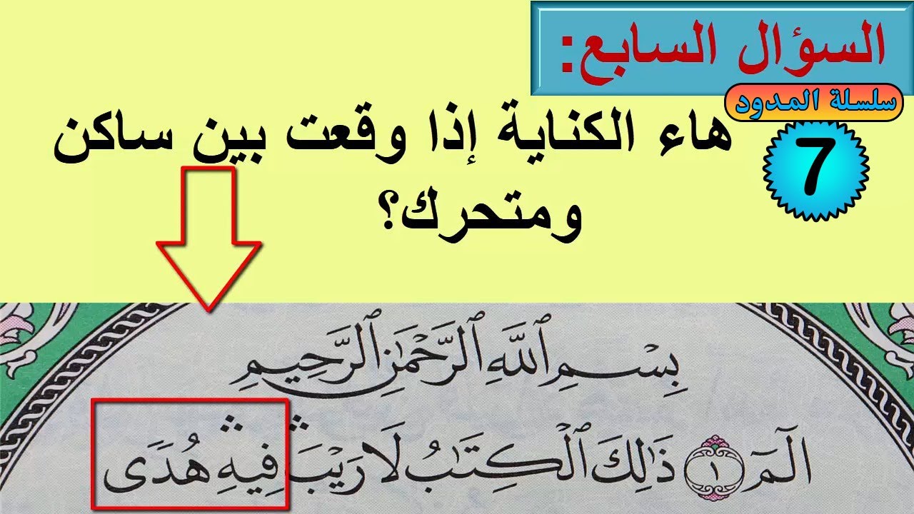 (22) تدريب عملي  رااائع علي مد الصلة وهاء الكناية في صورة سؤال وجواب
