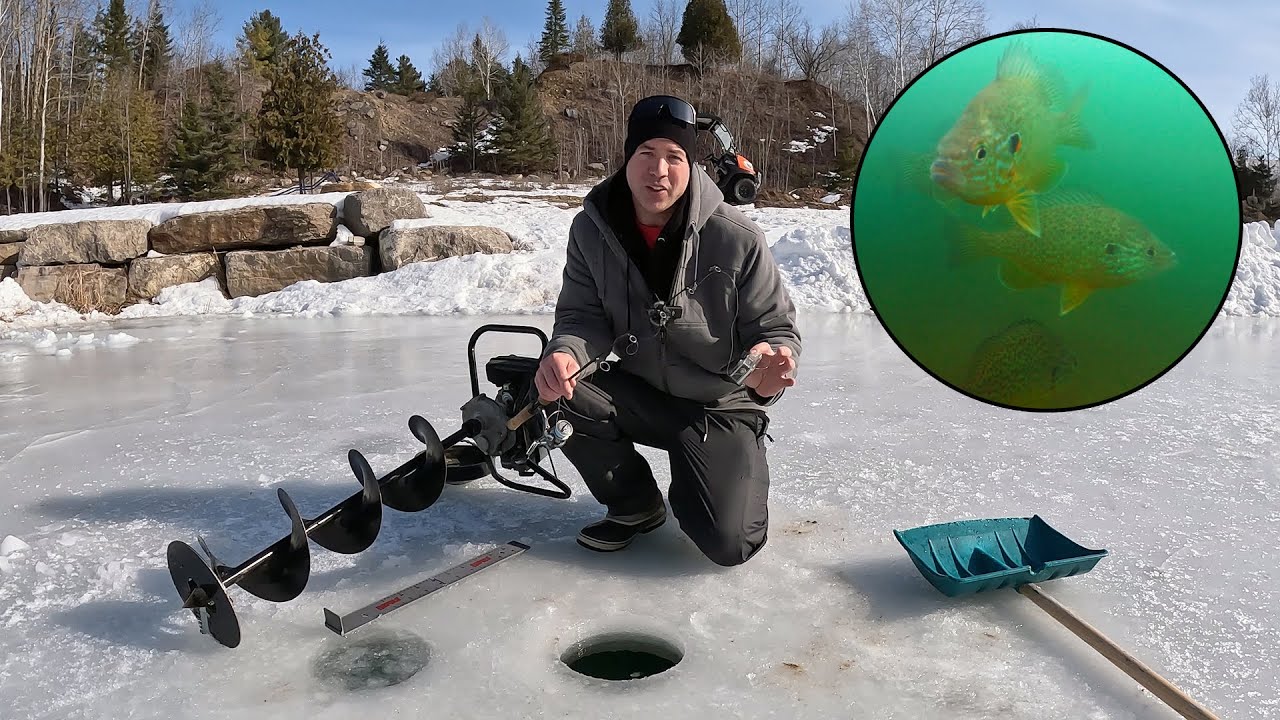 The Backyard Pond is Frozen // Under the Ice Video & Ice Fishing