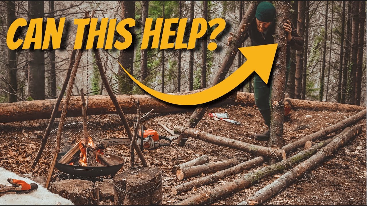 We Bought a Woodland - Ep2 - A Problem in the Woods