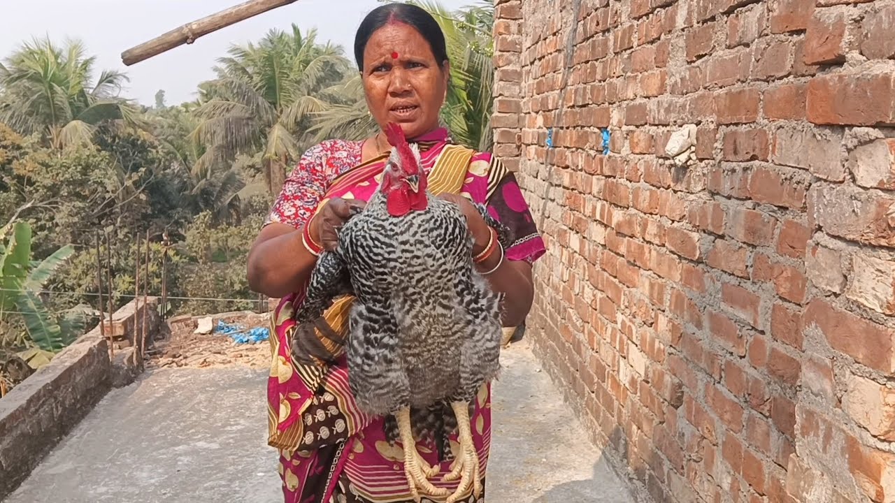 আজকের রান্না বাড়ির পোষা মোরগের লাল ঝোল 