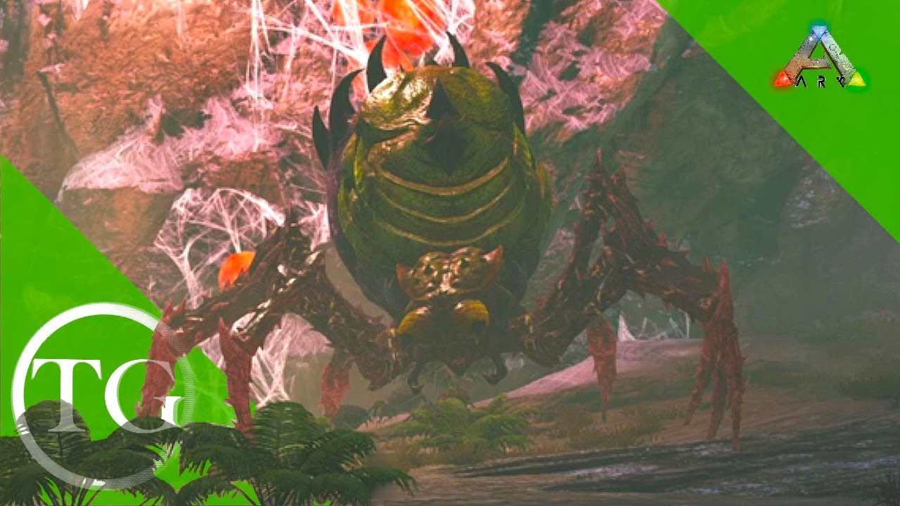 A Battle with the Broodmother as You've Never Seen Before [Ep20]