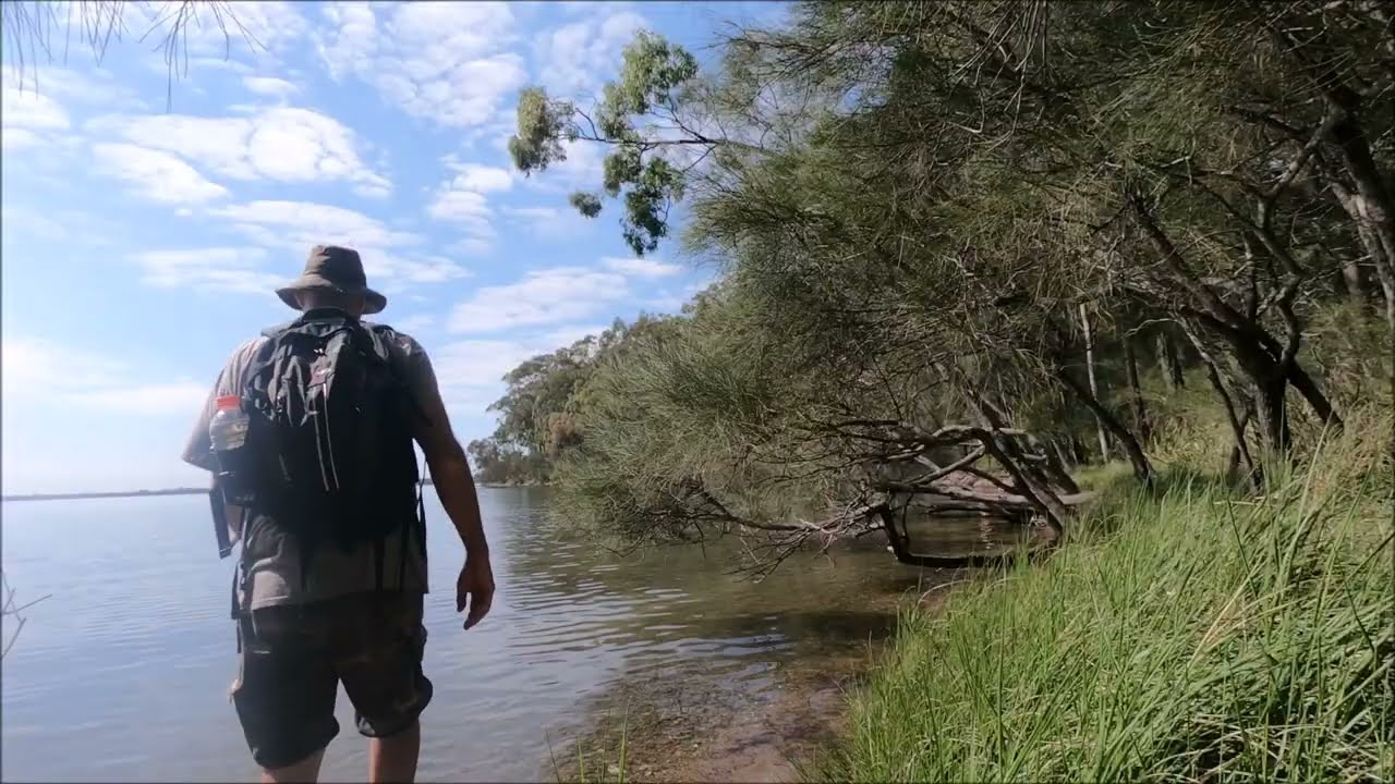 Pulbah Island in Lake Macquarie - Bushwalk on the Island