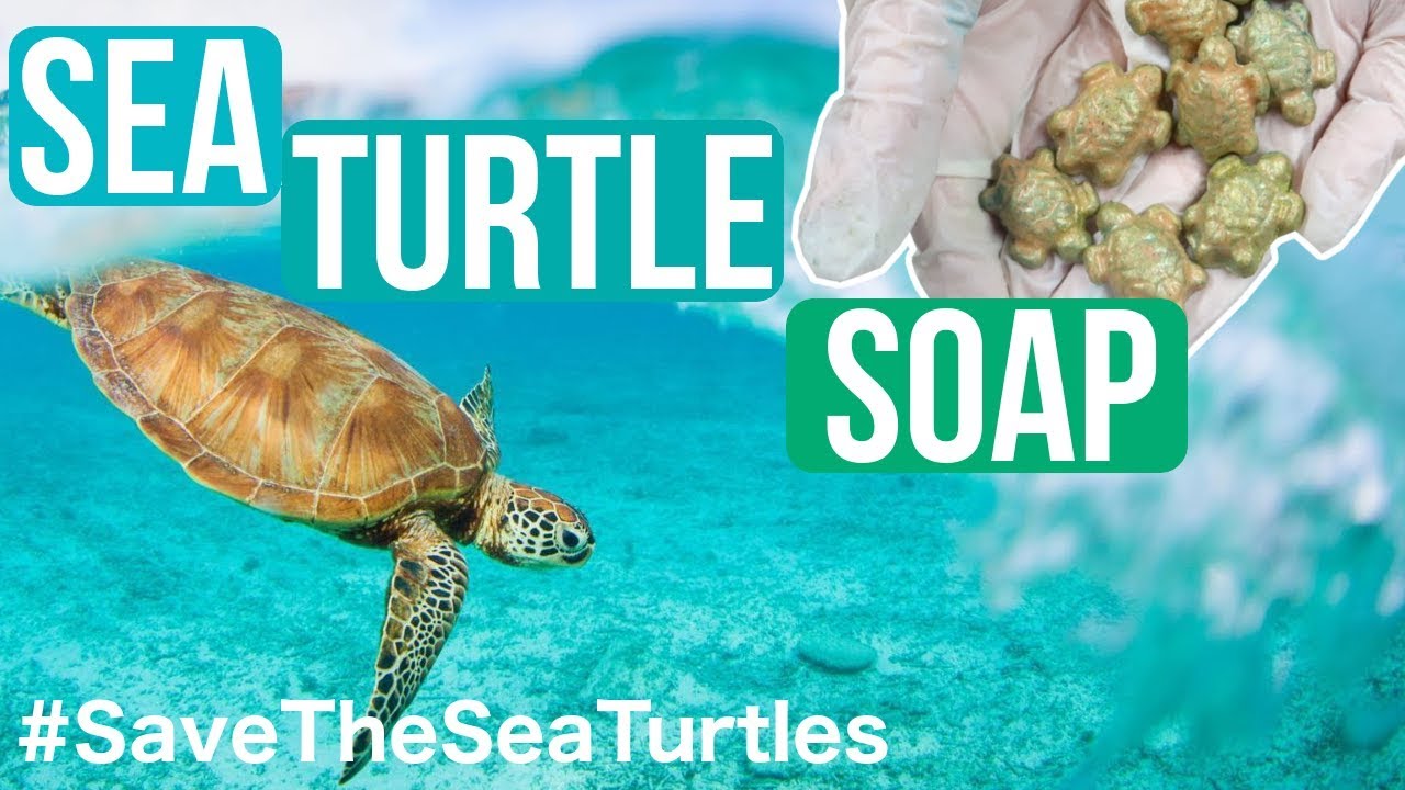 SAVE THE SEA TURTLES SOAP - Turning Your Design Into Soap | Royalty Soaps