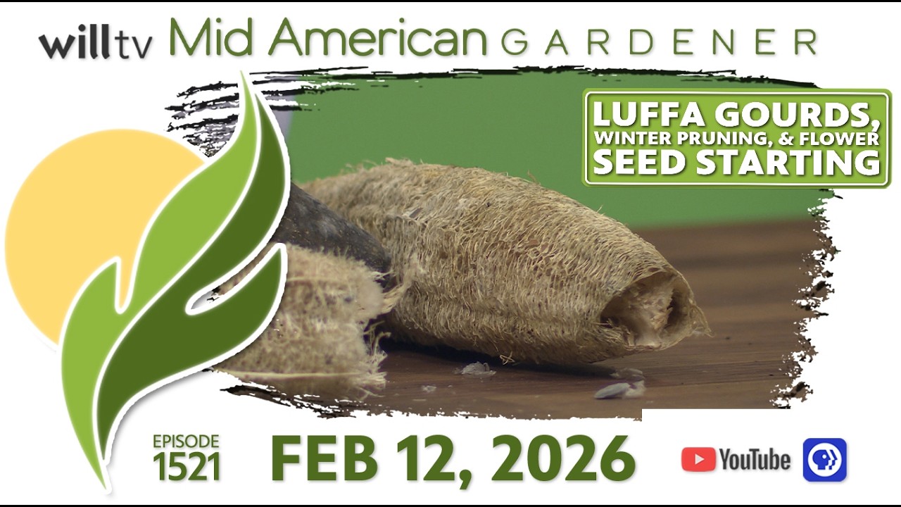 Luffa Gourds, Winter Pruning, & When to Start Your Spring Blooming Flowers - MidAmerican Gardener