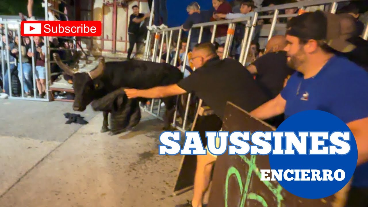 Grand Festival d’Encierro ➡️ Saussines 🇫🇷 un monde fou 🤪 24/05/25 Manade TOMMY & LA LAUZE 👌
