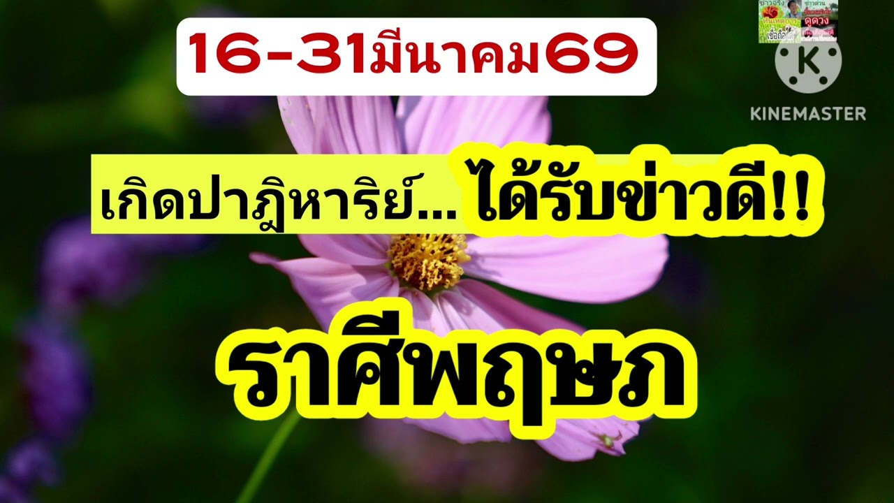 #ราศีพฤษภ 16-31มีนาคม69💰ได้รับข่าวดี...มีเฮเรื่องนี้🌟
