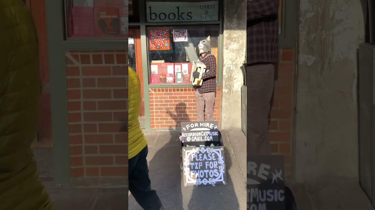 Accordion Cat at Pike Place Market - Seattle, WA - Brief Footage