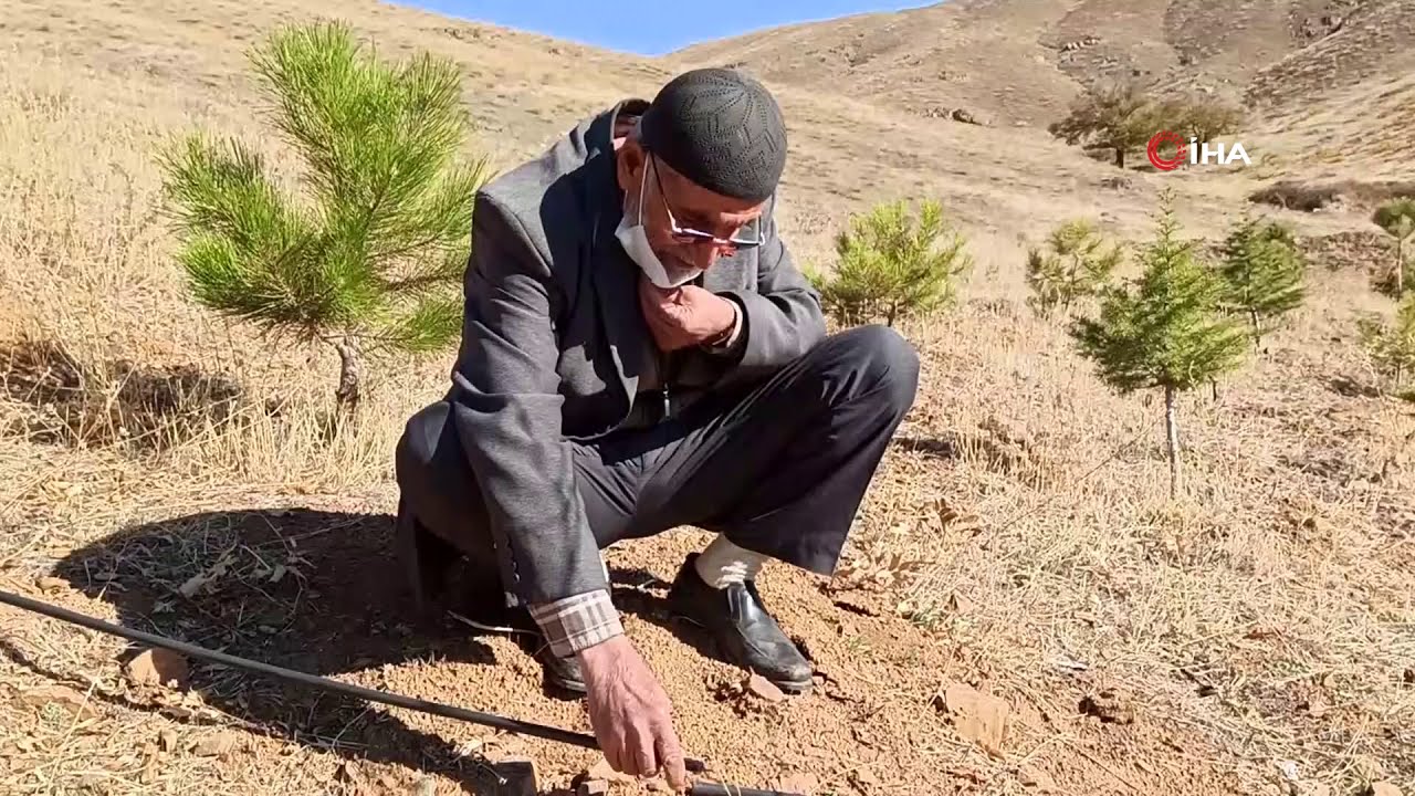 ‘Orman Dede’, Babadan Kalma Arazisini 11 Yılda Ormana Dönüştürdü