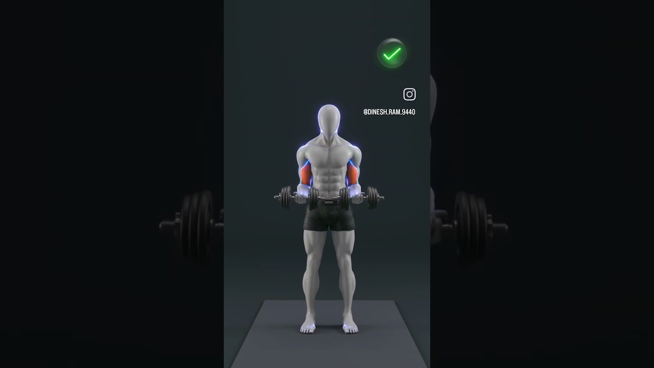 dumbbell biceps curl 