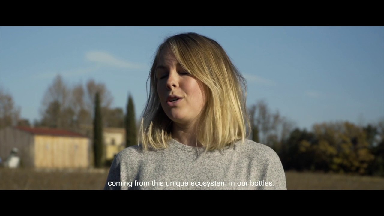 Fundovino : PLANTATION EN S&Eacute;LECTION MASSALE pour le Clos de l'OURS