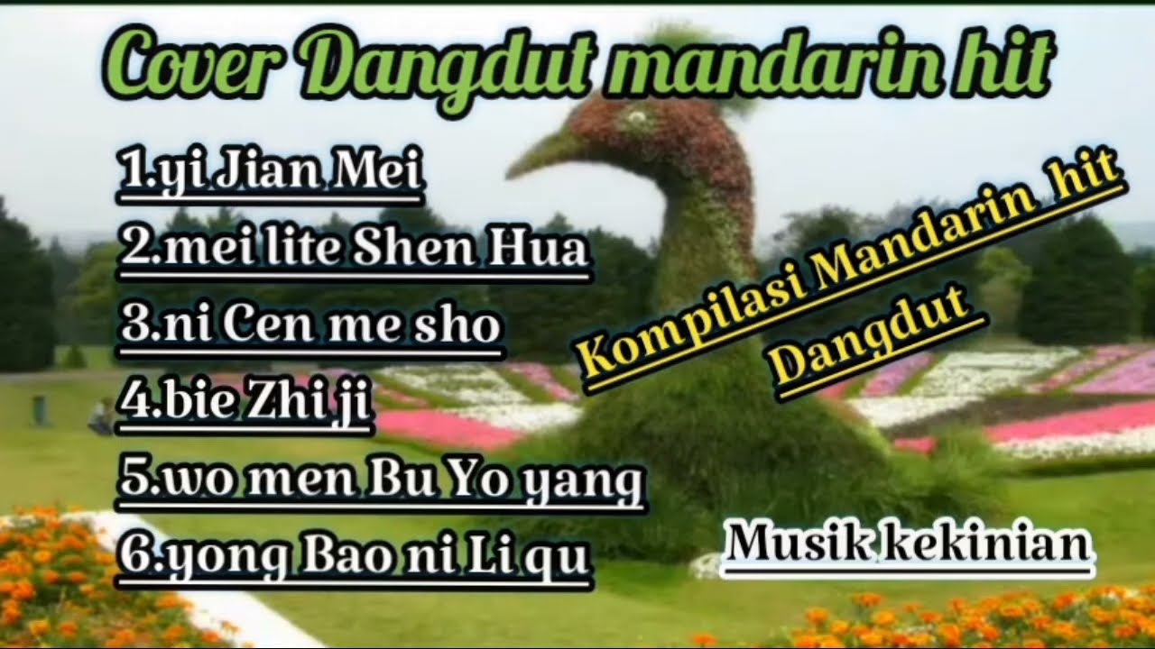 MANDARIN dangdut koplo lagu Mandarin chaina song
