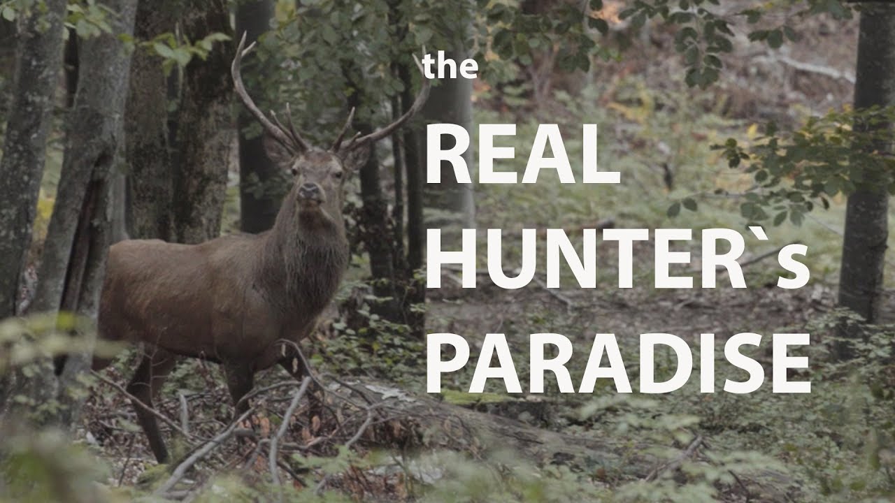 STATE HUNTING GROUND with the special purpose in KOČEVJE - SLOVENIA
