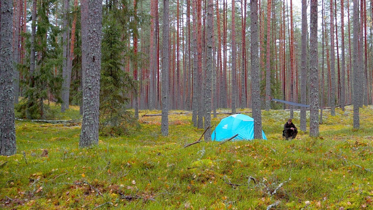 SOLO Camping - RAINY Night - Cooking MUSHROOMS