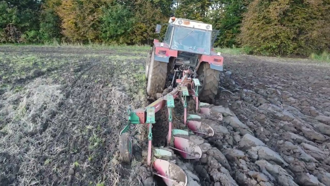 CZESKA MOC W AKCJI /ORKA 2025! / ZETOR 16145 & ZWTOR FORTERRA 125