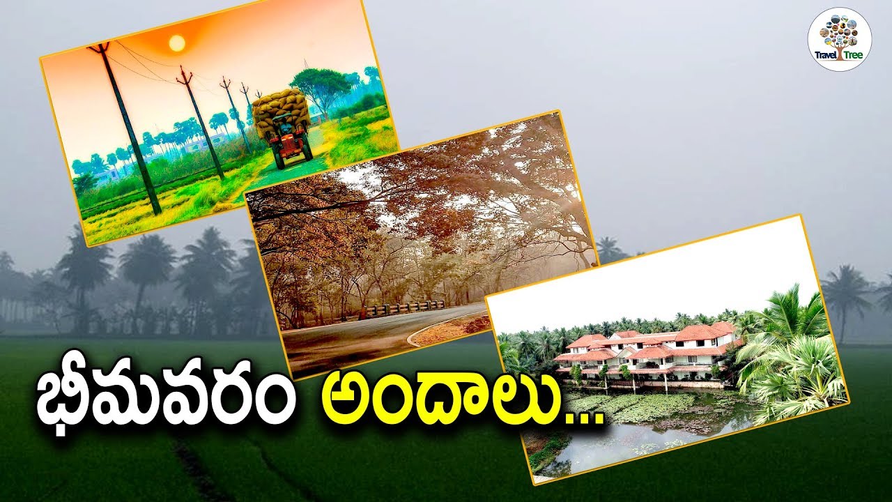 Beauty of Bhimavaram | A Wonderful View Of Nature, The West Godavari district | Travel Tree