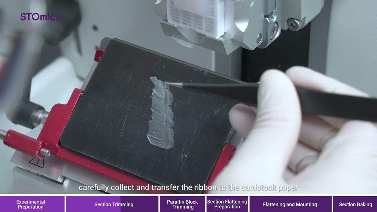Guidance on FFPE Sample Sectioning and Mounting