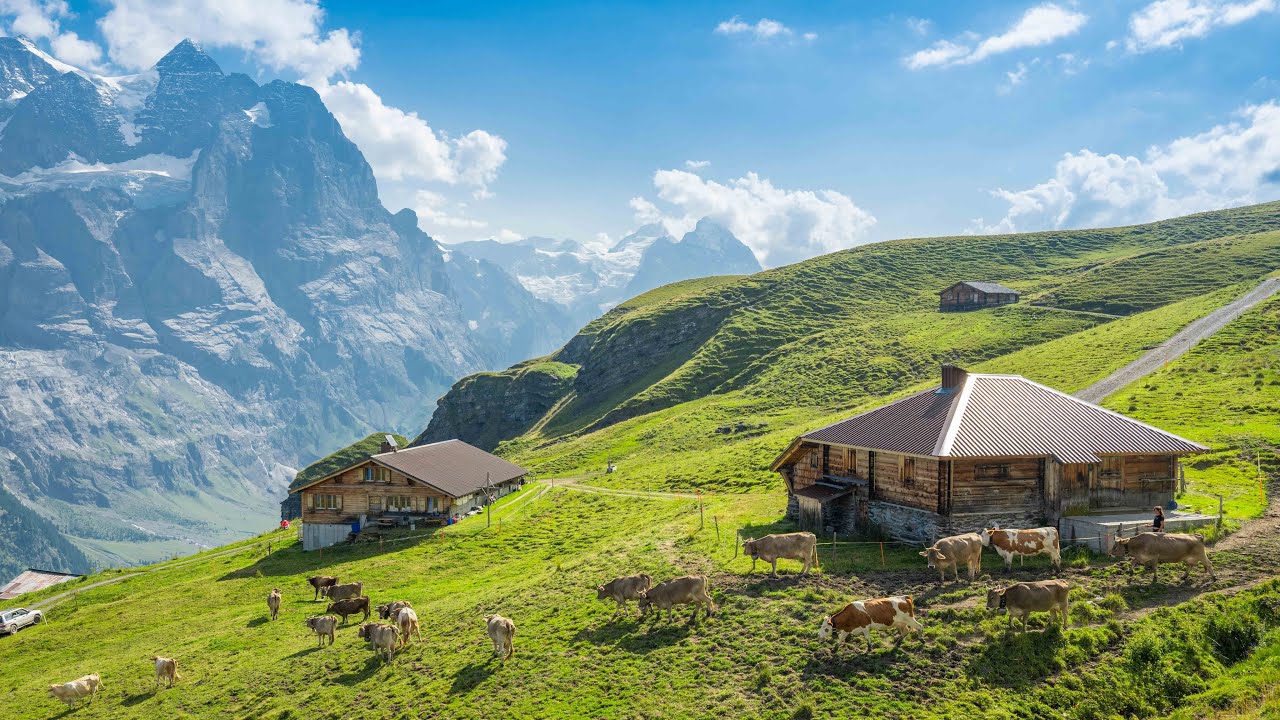 Das harte und fantastische Leben der &Auml;lpler in der Schweiz