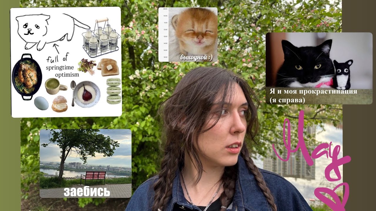 catch up with me in may: пишу книгу, готовлюсь к JLPT, гуляю