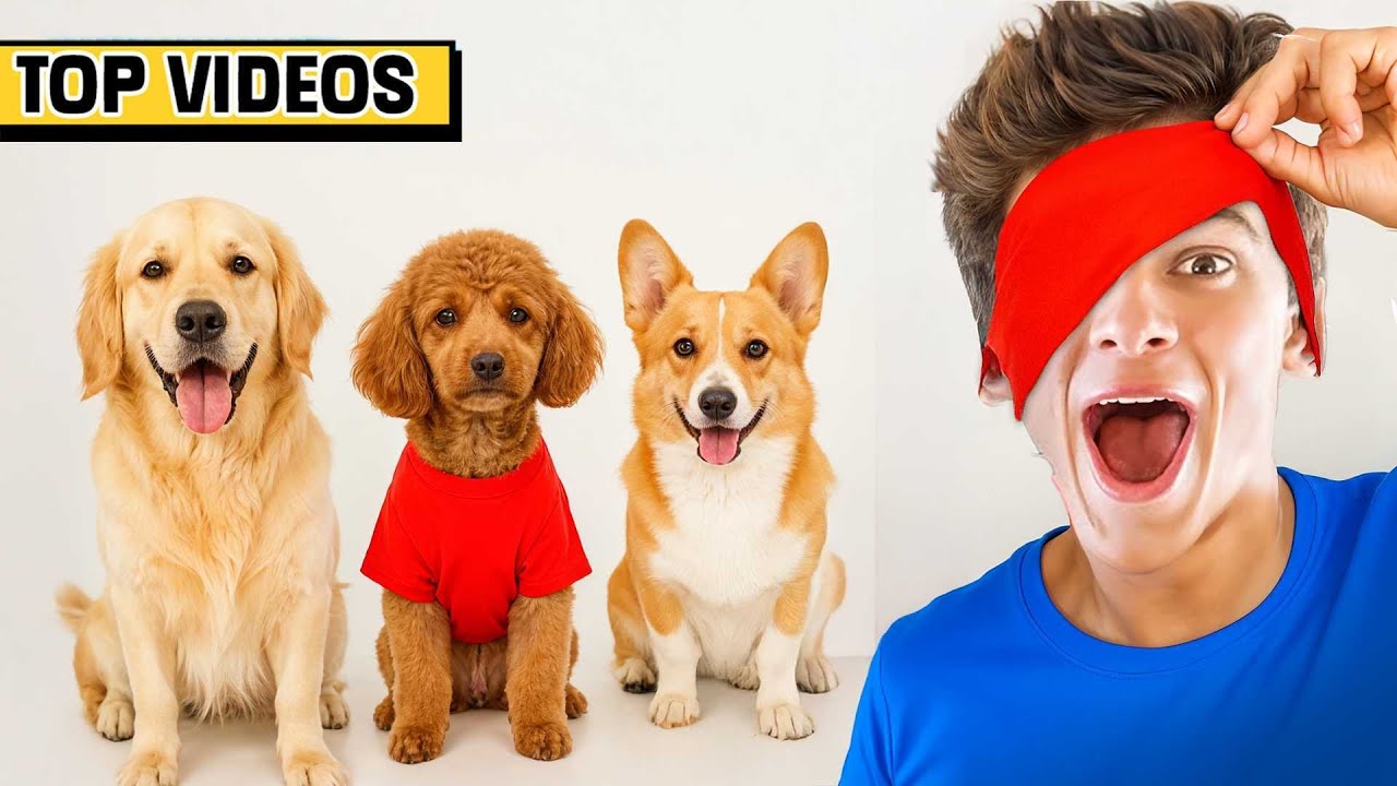 I Guessed a Dog With No Eyes | Brent Rivera