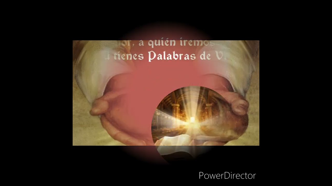 Señor, ¿a quién iremos?