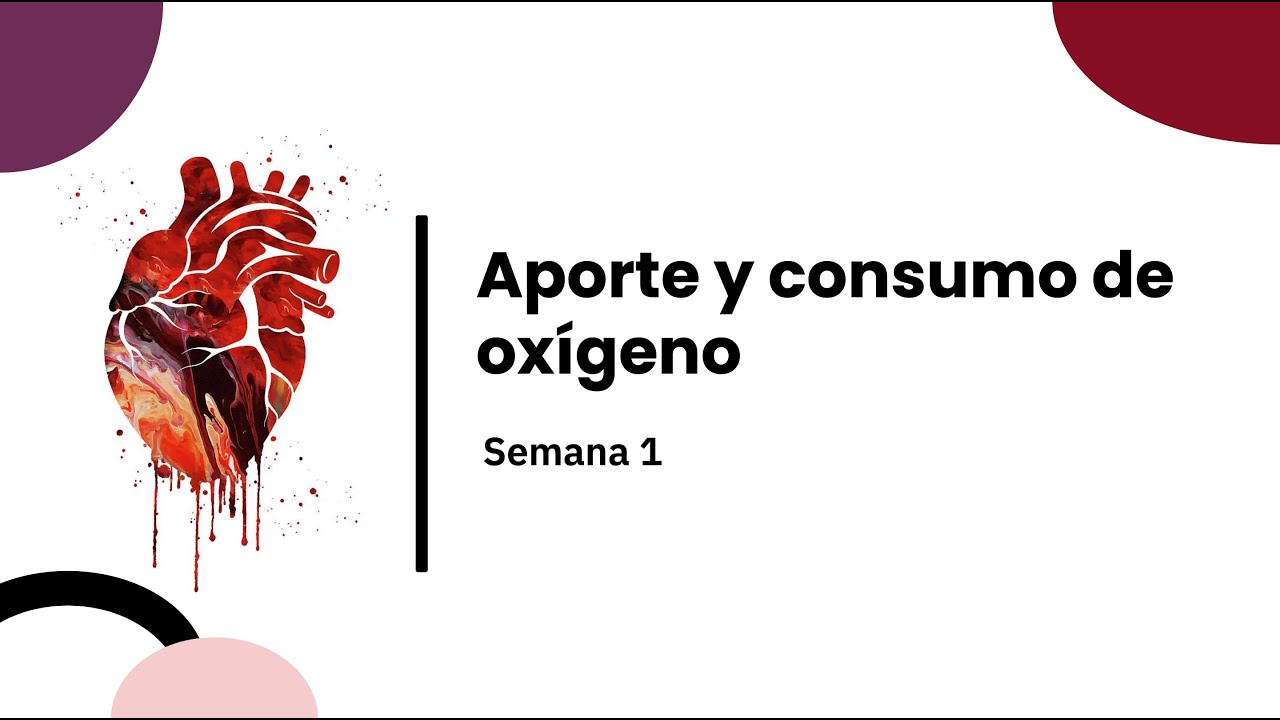 Aporte y Consumo de Oxigeno Semana 1 (Anatomia)