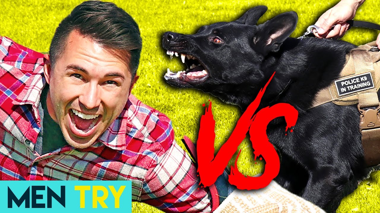 Men Try Running From Police K9 Attack Dog - BAD BITE!