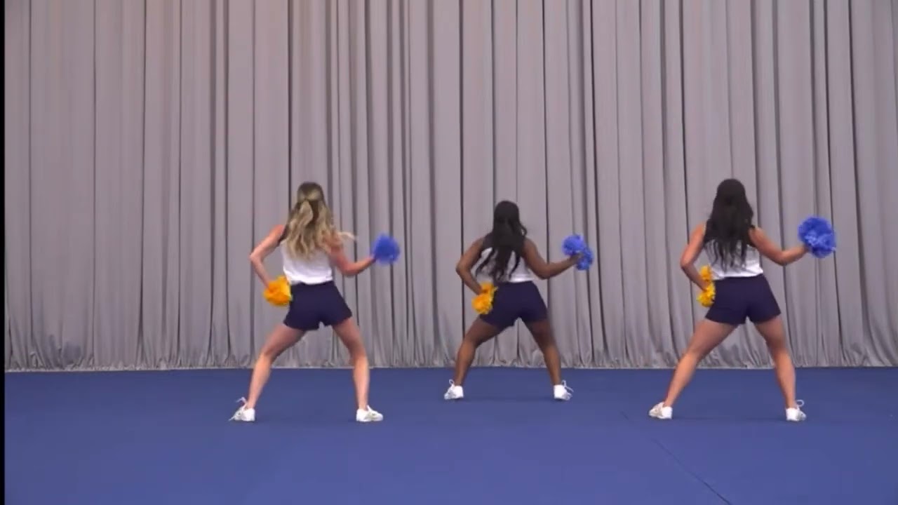 Valid like salad- sideline routine