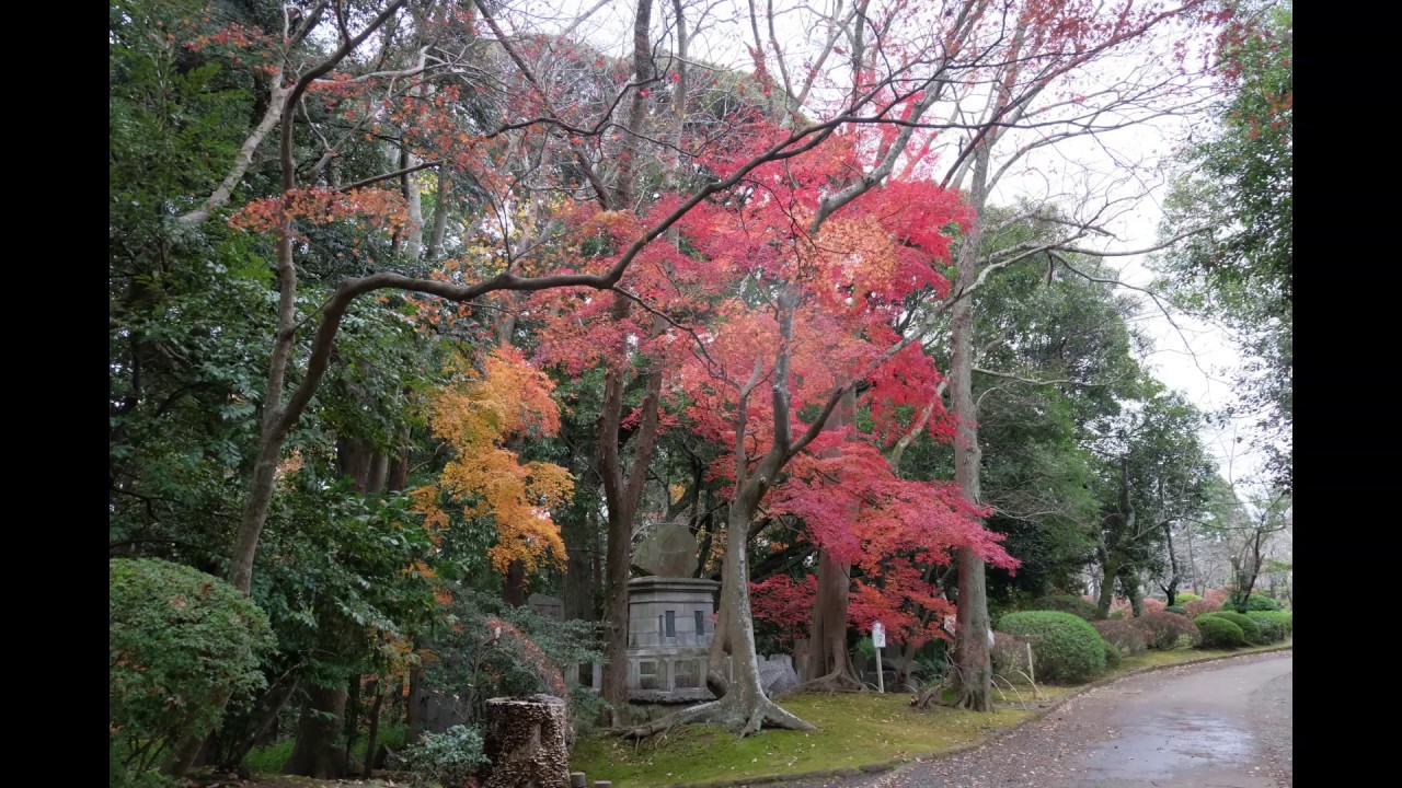 千葉縣 成田山新勝寺賞楓