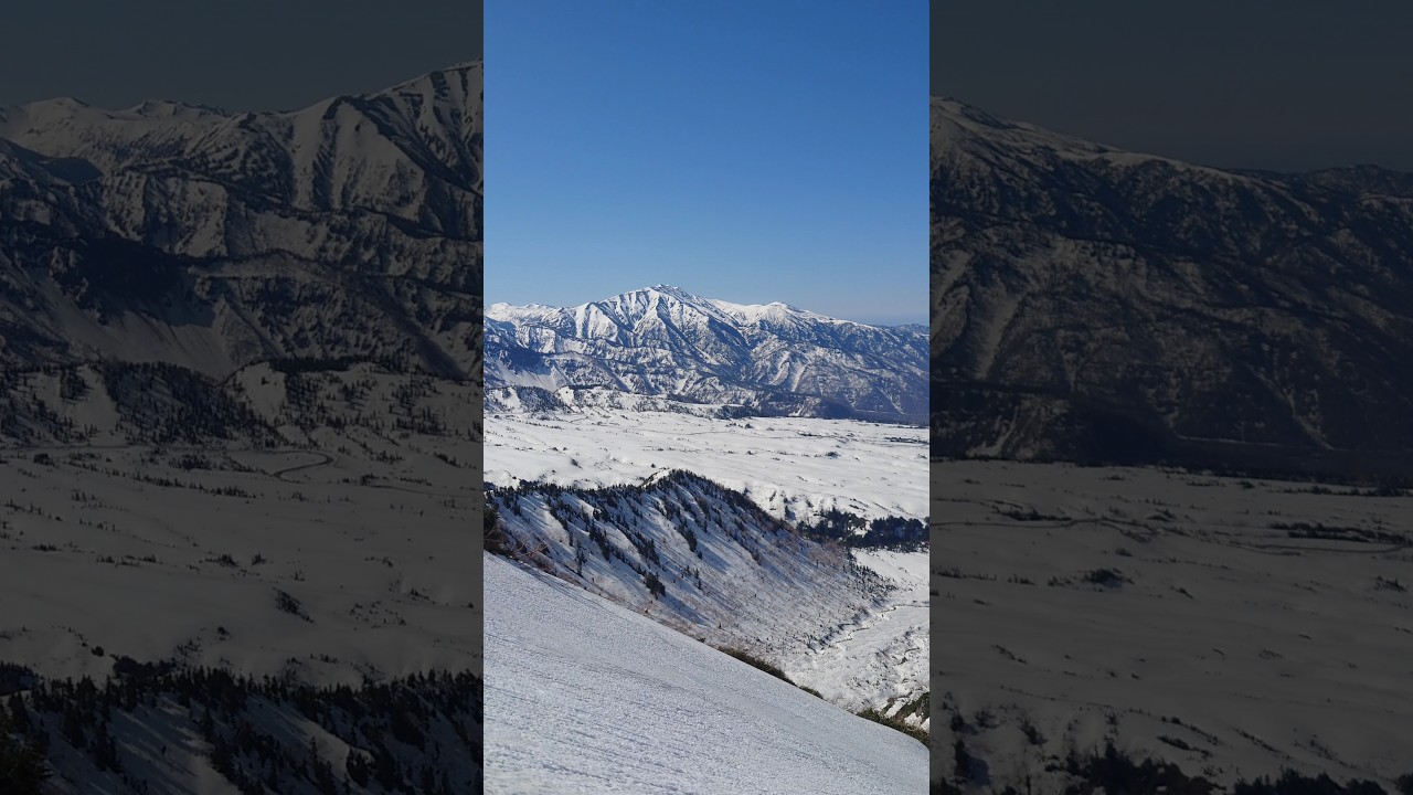 富山の百山【大日岳】心臓破りの坂から『北アルプスの貴婦人』薬師岳と残雪の立山弥陀ヶ原そして剱岳を望む #大日平 #鍬崎山 #春 白山 水晶岳 #剱岳 #立山連峰 #shorts #登山 #風景