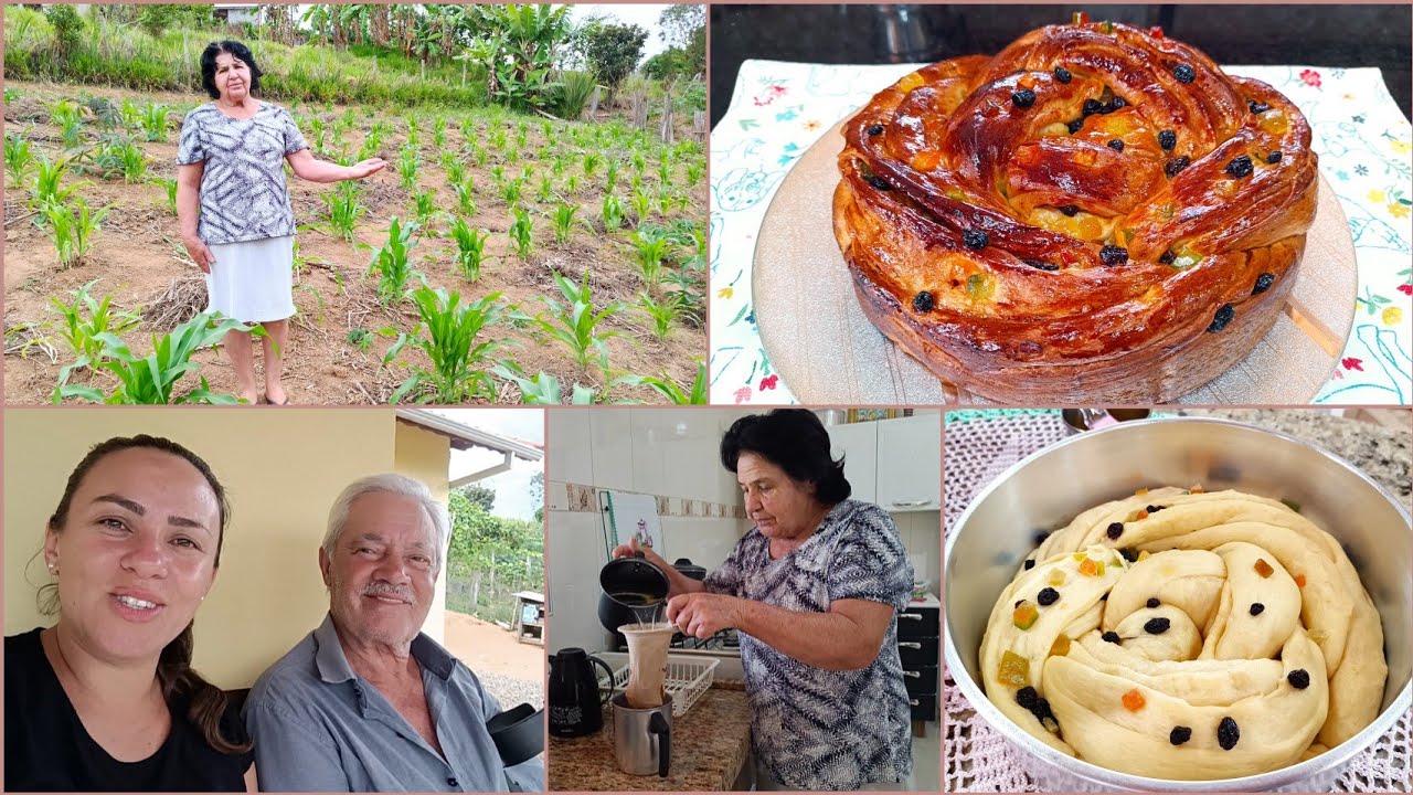 COMO FAÇO ROSCA NATALINA CAFÉ DA TARDE COM MEUS PAIS/OLHA SÓ O MILHARAL DE MINHA MÃE.