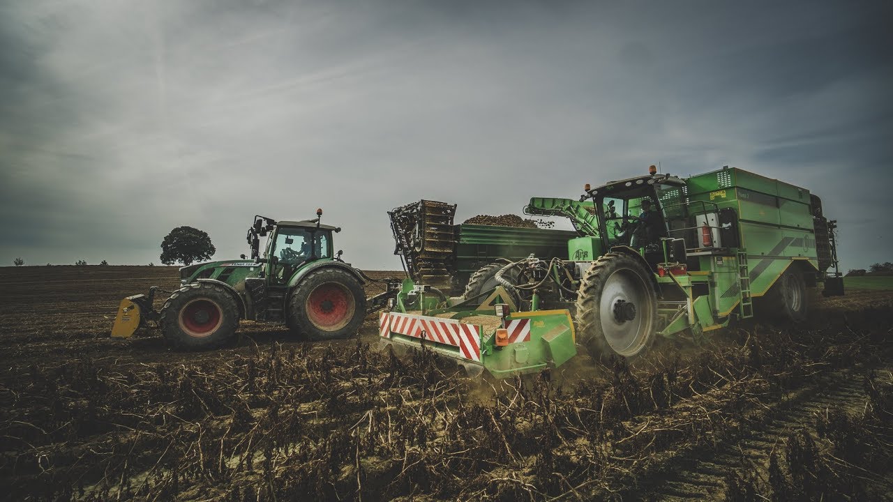 AVR PUMA 3 Kartoffelroder im Einsatz