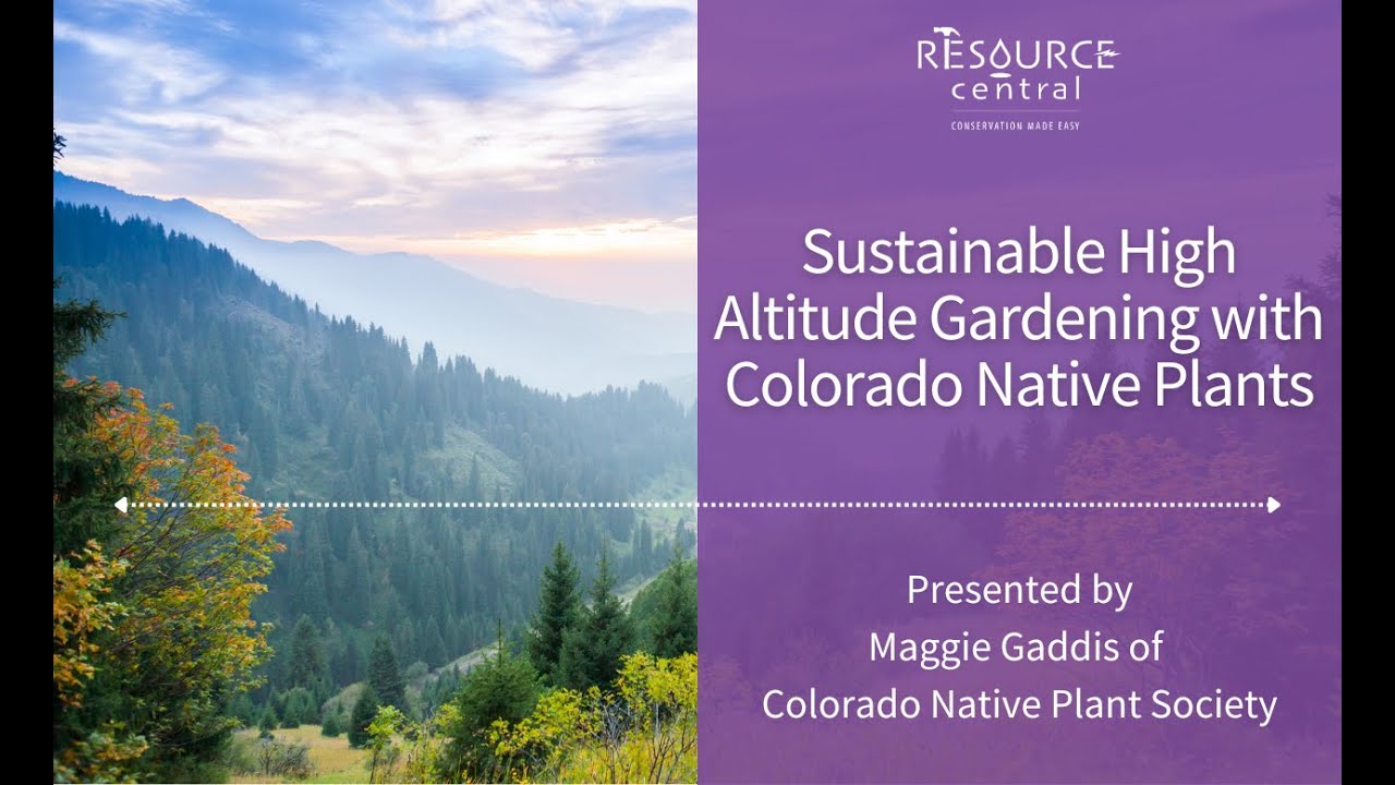 Sustainable High Altitude Gardening with Colorado Native Plants