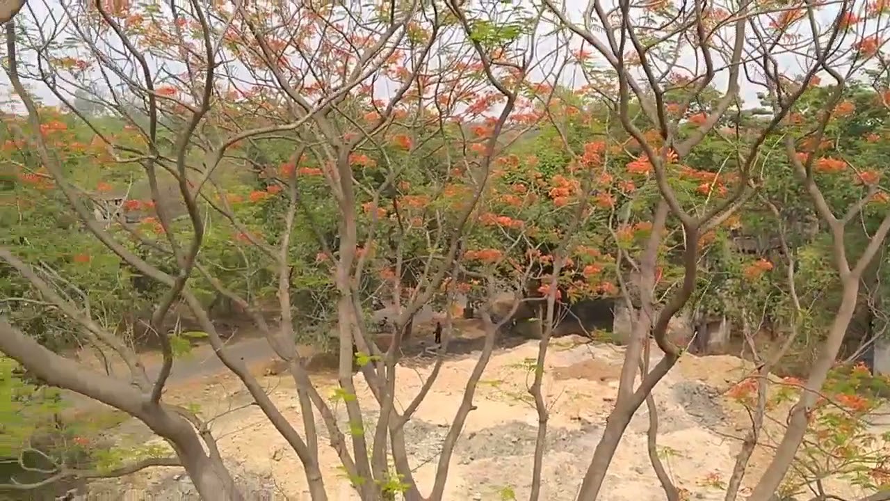 FCI colony.... Talcher