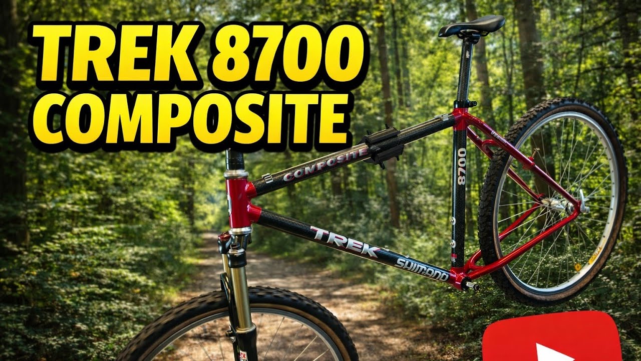 Specialized fsr xc update, serwis rowerowy w Holandii 