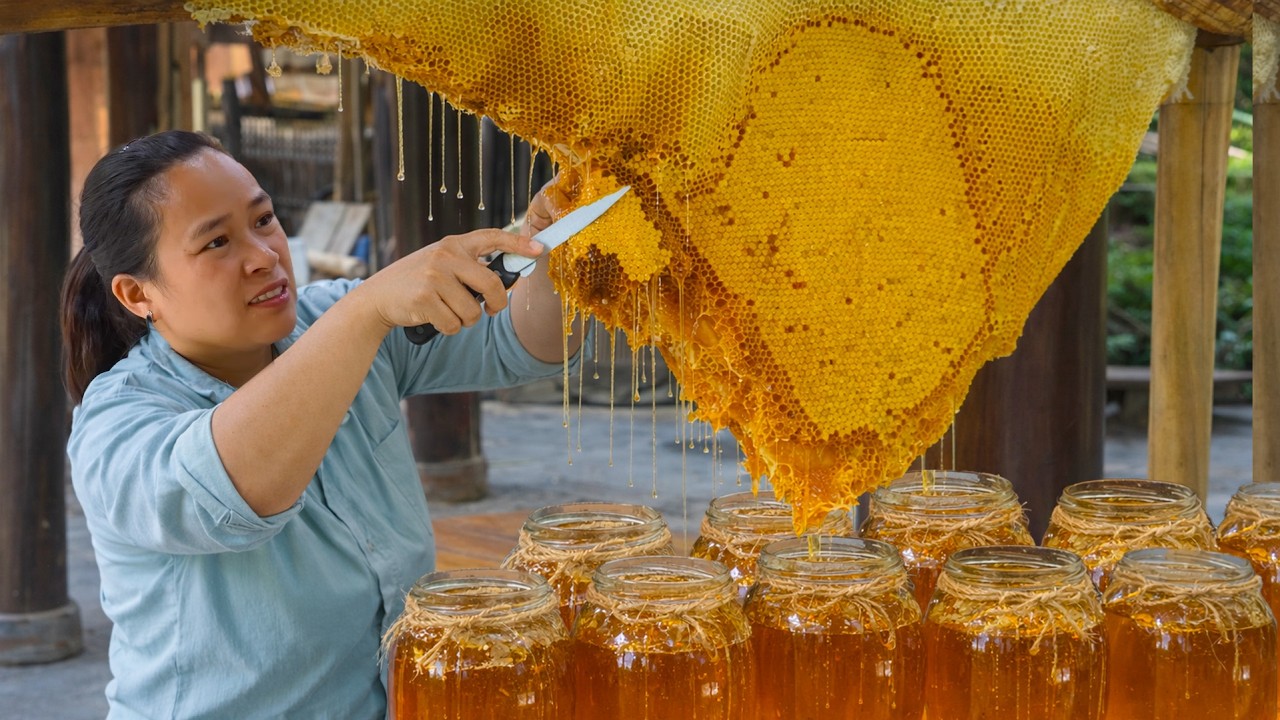 Harvesting a Giant Honeycomb – 300 Liters of Pure Natural Honey for the Family